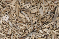 biomass boilers Trencrom